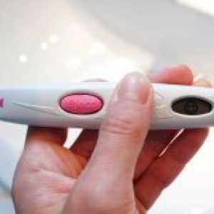 Elektronski test na trudnoću