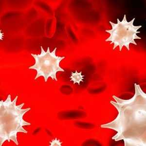 Crvene krvne stanice u krvi djeteta