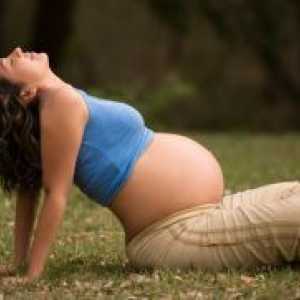Joga za trudnice: 2 tromjesečju