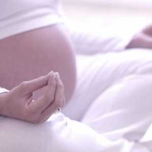 Joga za trudnice: hatha yoga videa