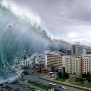 Zašto san tsunami?