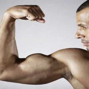 Kako brzo napumpati biceps kod kuće?