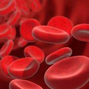 Kako brzo povećati hemoglobina?