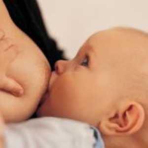 Koliko često trebam hraniti novorođenče s majčinim mlijekom?