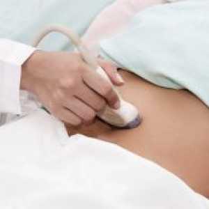 Kako ultrazvuk bubrega?
