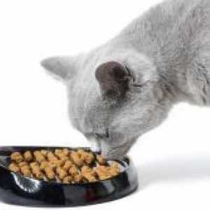 Kako hraniti mačka kastriran?