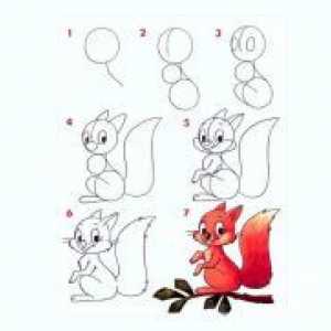 Kako nacrtati vjevericu?