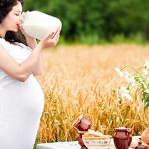 Kako stvoriti dijeta za trudnoću