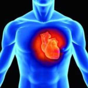 Kako ojačati srce i krvne žile?