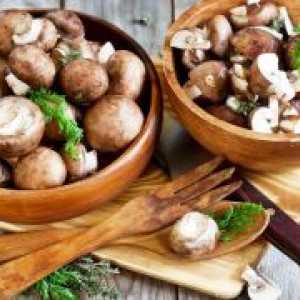 Kako kuhati gljive?