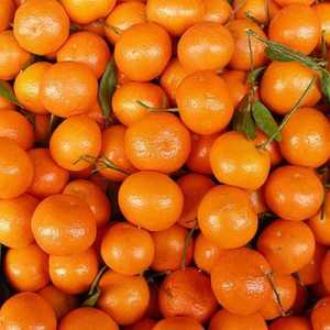 Što su vitamini se nalaze na mandarinskom?