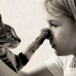 Što miris odvraća mačke?