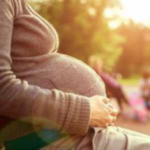 Jajnika ciste u trudnoći