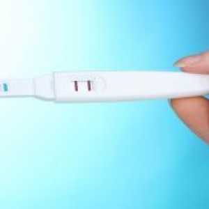 Kada se ovulacija test?