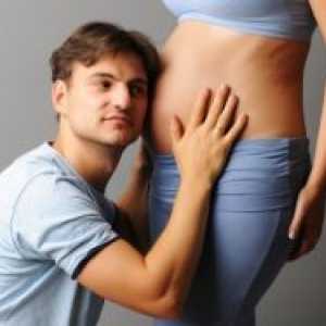 Kada dijete počne kretati u 1 trudnoći?