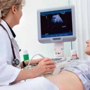 Kada se registrirate za trudnoću?