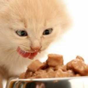 Hrana za mačke kastriran