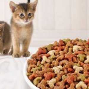 Suha hrana za mačiće