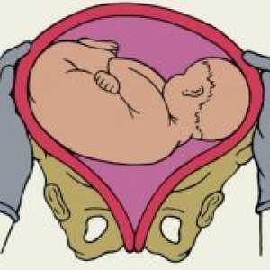 Kosom položaju fetusa