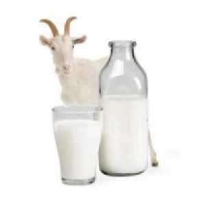 Kozje mlijeko - prednosti