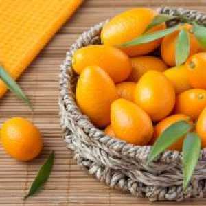 Patuljasta naranča - koristi i štete