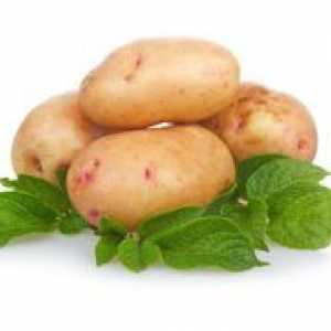 Hemoroidi krumpirov liječenje