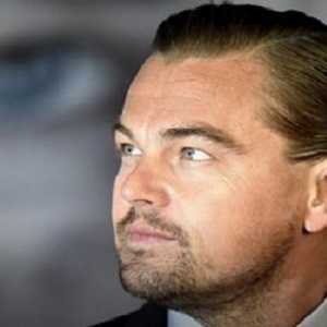 Leonardo DiCaprio o slučaju u ravnini