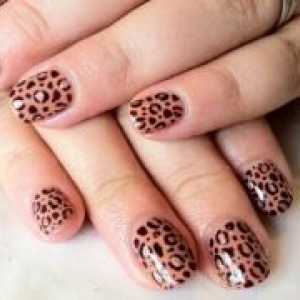 Leopard nokte