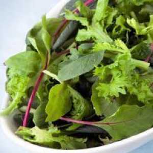 Zelena salata - koristi i štete