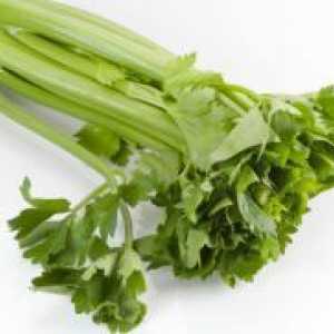 Celer list - korisna svojstva