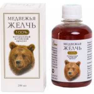Medvjed žučne - upotreba i kontraindikacije