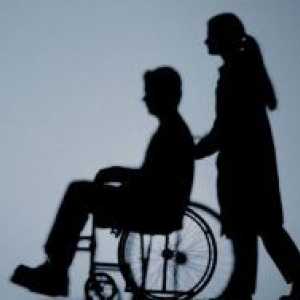 Međunarodni dan osoba s invaliditetom