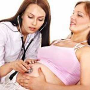 Meka vrata maternice tijekom trudnoće