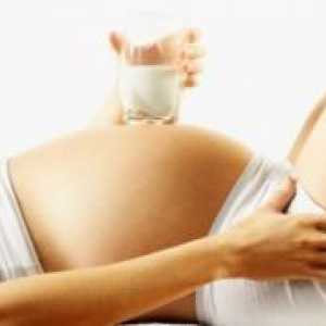 Mlijeko u trudnoći