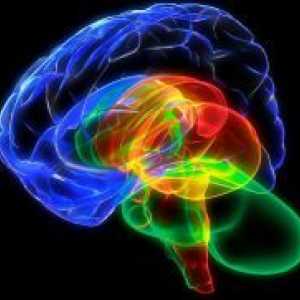 Mozga i svijesti
