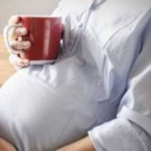Mogu li trudna čaj majčine dušice?