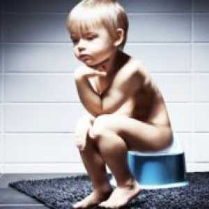Fekalne inkontinencije u djece