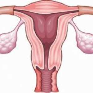 Tubal opstrukcije i trudnoća