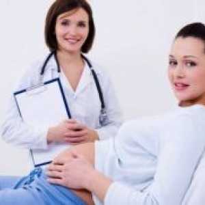 Norma TSH u trudnoći