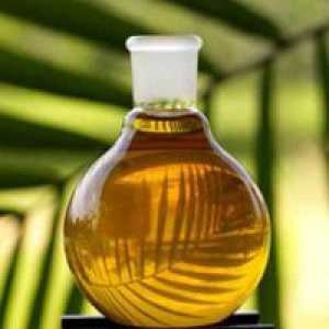 Palmino ulje - koristi i štete