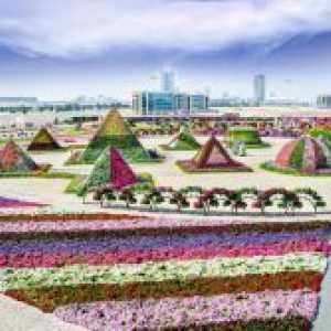 Cvjetni park u Dubaiju