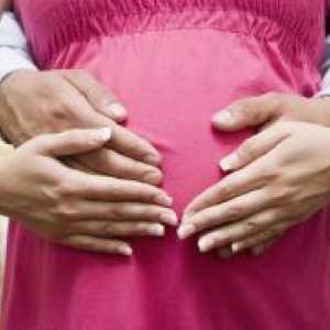 Prvi miješanje fetusa tijekom trudnoće