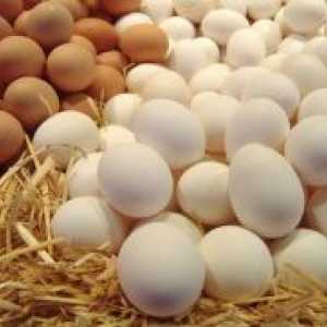 Nutritivna vrijednost jaja