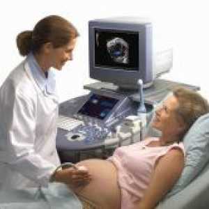 Rutinski ultrazvuk tijekom trudnoće