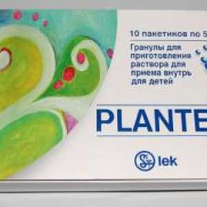 Plantex bebe