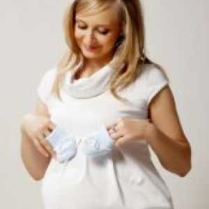 Haljine za trudnice 2013