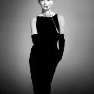 Haljina u stilu Audrey Hepburn