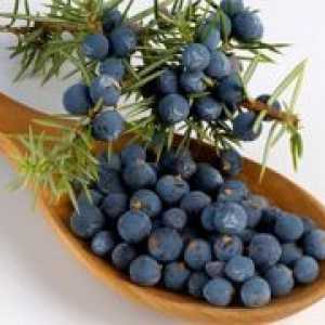 Plodovi borovice - ljekovita svojstva