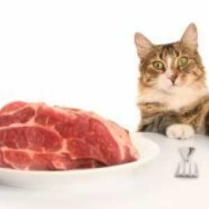 Zašto se mačka ne jede?