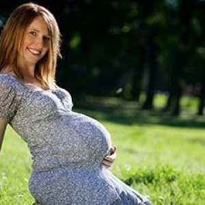 Zašto se ne mogu dobiti živčani tijekom trudnoće
